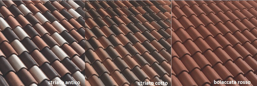 COPPO DEL BORGO gif