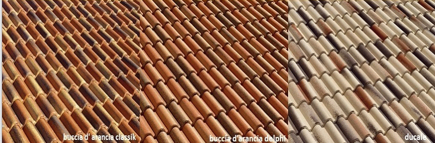 Coppo di Grecia gif