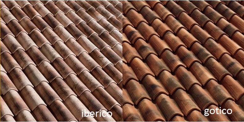 coppo domus gif